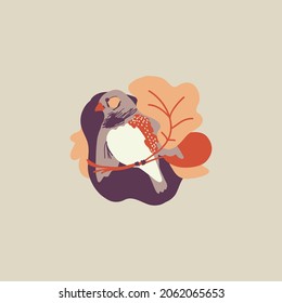 Zebra Finch. Small Bright Bird In The Autumn Foliage. Amadina. Vector Animals. Sparrow
