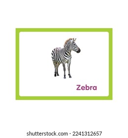 Zebra, FLash Card Printable and used with many different themes