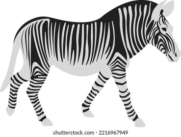 Zebra in flat style. Striped black and white animal. Soft children's toy. Vector illustration.