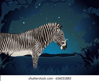 Zebra in the forest at night illustration