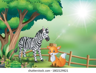 A zebra and fox playing inside the fence