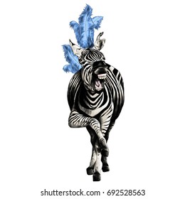 Zebra full height smiling with feathers on his head acts in the circus sketch vector graphics color picture