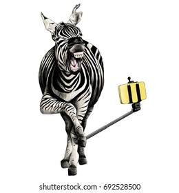 Zebra full height smiling taking a selfie with a monopod for phone sketch vector graphics color picture