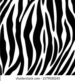 Zebra Fur Background Animal Skin Print Stock Vector (Royalty Free ...