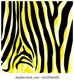 Zebra fur pattern design, African style  panthera vector illustration background.