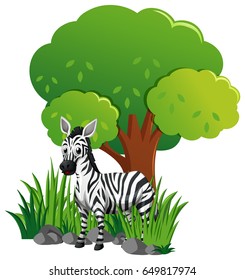 Cebra en la ilustración del jardín