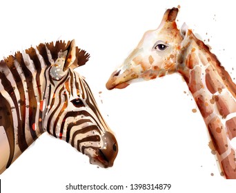 zebra and giraffe Vector watercolor. wildlife safari animal