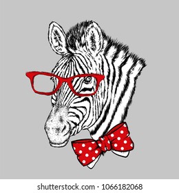 A zebra with glasses and a tie. Vector illustration.