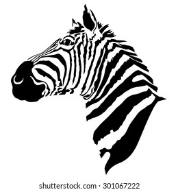 Zebra. Graphic monochrome vector illustration.