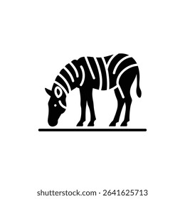 Zebra Grazing Peacefully on Grassland, African Wildlife