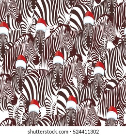 james the christmas zebra 2