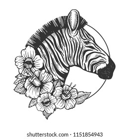 Zebra head animal engraving vector illustration. Scratch board style imitation. Black and white hand drawn image.