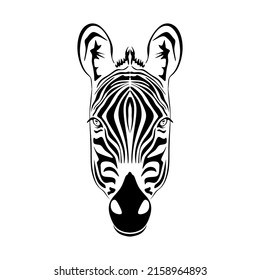 Zebra head, Animal face isolated on white background vector Illustration. Graphic Design for logo. wildlife and fauna zoo