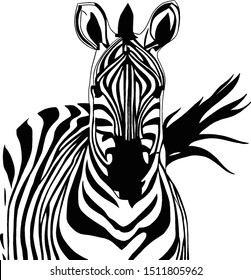 Zebra Head Black White Graphic Illustration Stock Vector (Royalty Free ...