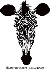 Zebra head black and white stripe isolated