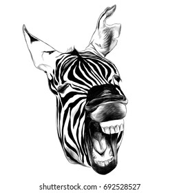 Zebra head contorts face with open mouth smiling sketch vector graphics black and white drawing