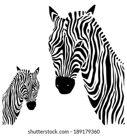 Zebra head. Hand drawn. Ethnic Vector illustration.