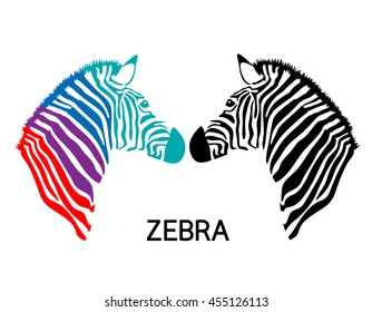 Zebra head. Hand drawn and outlined in vector illustration. Simple flat style. isolated on white background.