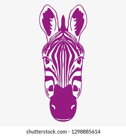 ZEBRA HEAD illustration vector