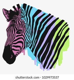 Zebra head isolated vector illustration on a colourful background