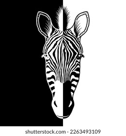 Zebra head on black and white background.