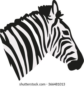 Zebra head portrait