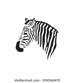 Zebra head profile. Black and white vector portrait for print or web