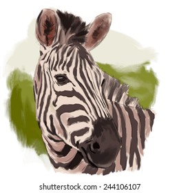 Zebra head realistic hand drawn vector illustration