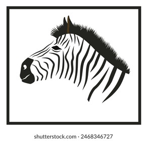 Zebra head. Side view of an African zebra. Portrait striped black and white. EPS 10.