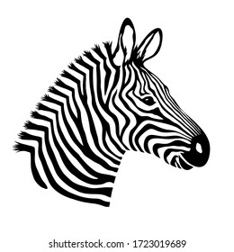 Zebra Head Images Stock Photos Vectors Shutterstock