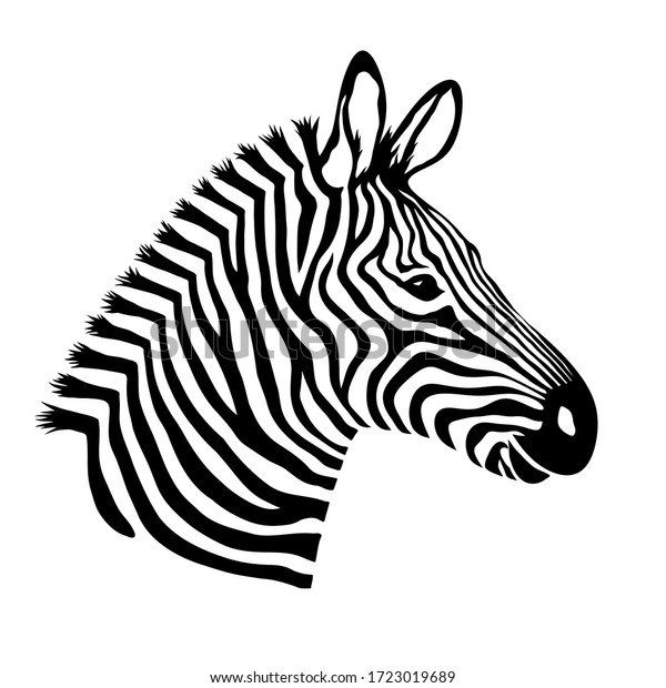 Zebra Head Wild Animal Logo Artwork Stock Vector (Royalty Free ...