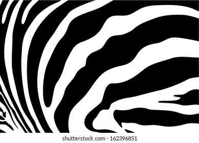 zebra hide print realistic black and white vector background