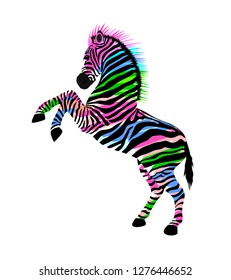 Zebra with hind legs. Wild animal texture. Striped black and white. Vector illustration isolated on white background.