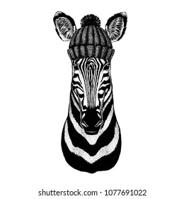 Zebra Horse Cool animal wearing knitted winter hat. Warm headdress beanie Christmas cap for tattoo, t-shirt, emblem, badge, logo, patch