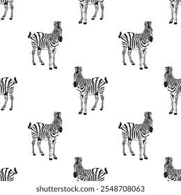 Zebra Horse, Safari Black and White Background, Vector Seamless Pattern 