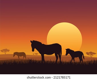 A zebra or a horse in savanna at sunset.