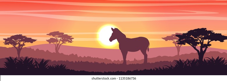 A zebra or a horse in savanna at sunset. Silhouettes of animals and plants. Realistic vector landscape. The nature of Africa. America. Reserves and national parks