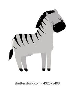 Zebra horse stallion with long mane portrait isolated on white background