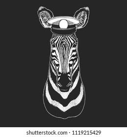 Zebra, horse Vector print for children. Capitan, pirate animal. Brave sailor. Design for kindergarten, school kids clothing, t-shirts.