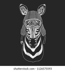 Zebra Horse. Vintage motorcycle hemlet. Retro style illustration with animal biker for children, kids clothing, t-shirts. Fashion print with cool character. Speed and freedom.