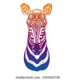 Zebra, horse. Wild animal. Vector fashion illustration for kids. Children shirt print with biker, motorcycle symbol.