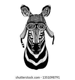 Zebra, horse wild biker animal wearing motorcycle helmet. Hand drawn image for tattoo, emblem, badge, logo, patch, t-shirt.