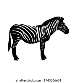 zebra icon, Graphical zebra isolated on white background,vector illustration