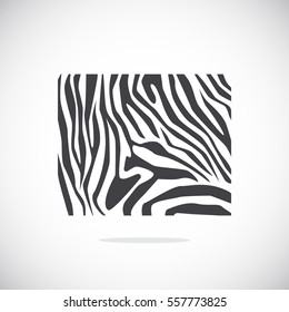  Zebra icon Vector. 