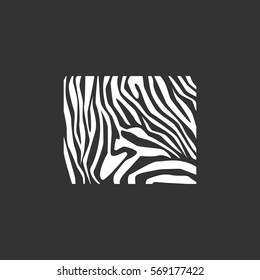  Zebra icon Vector. 