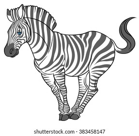zebra icon - vector animal symbol