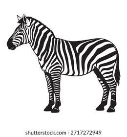 Zebra Illustration Black White Vector Icon Design
