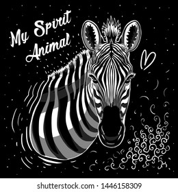 zebra illustration tee graphic print design