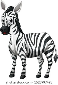 Zebra Illustration Vector - Animals Vector Drawing