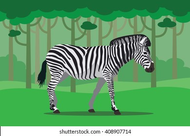 zebra isolated in jungle with trees as background vector